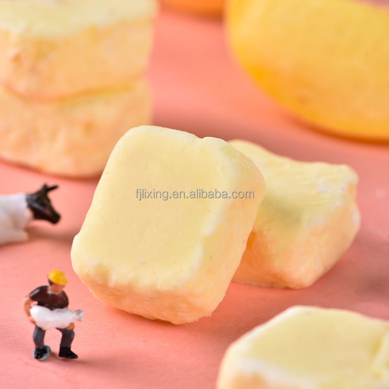 Freeze Dried Yogurt Manufacturer - OEM Follower Shaped Dice