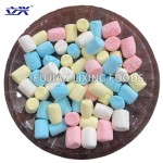 冻干棉花糖生产厂家 - 2024新款设计代工