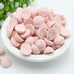 冻干酸奶生产厂家 - 健康食品代工