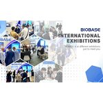 Walking Stick Factory - Variety Structure Walking Stick