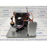 Open Type Condensing Unit Factory - QX19-12 R134a DC-12V Compressor