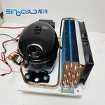 Open Type Condensing Unit Manufacturer - BD110Y DC12V 24V 300W