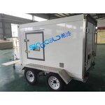 Reefer Truck Freezer Box Manufacturer - Custom 1HP Monoblock Unit