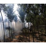 Gasoline Fog Machine Factory - Liquid Atomizer Fumigation Sprayer