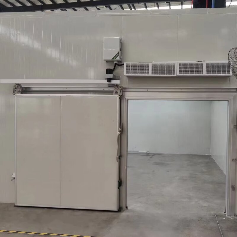 Electric Sliding Door Manufacturer - Color Steel Automatic Door