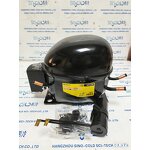 Freezer Compressor Manufacturer - 1/3HP NL9CLX R404A/R507 220-240V