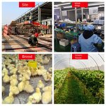 Industrial Heater Manufacturer - Stainless Steel 3000W 220V/380V