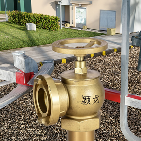 Fire Hydrant Manufacturer - All-Copper Indoor Pressure Reducing
