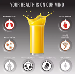 Manual Juicer Manufacturer - Commercial Lemon Squeezer 304 Stainless