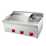 Gas Griddle Manufacturer - Stainless Steel Countertop Fryer