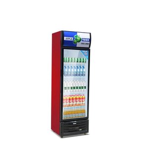 Refrigerated Display Cabinet Manufacturer - Vertical Double Door Cooler