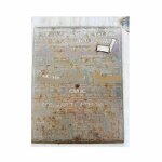 Reefer Container Factory - Cold 20ft 40ft Used New Container