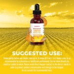 Chlorophyll Drops Manufacturer - Bulk Wholesale Chlorophyllin Copper Complex Liquid Drops Energy