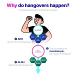 口香糖供应商-批发成人口香糖软糖缓解疲劳促进消化