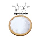珊瑚钙粉工厂-批发珊瑚提取物食品级100%冲绳珊瑚钙粉