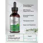 Mullein Leaf Drops Supplier - OEM Best Seller Mullein Leaf Chlorophyll Drop Lungs Cleanse Healthy