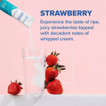Electrolyte Supplement Factory - OEM 16-Pack Strawberry Flavor Electrolyte Brewing Powder Sports
