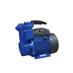 Peripheral Water Pump Manufacturer - 1WZB-65 Water Pump