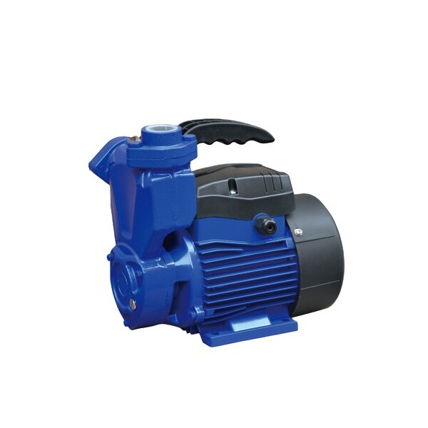 Peripheral Water Pump Manufacturer - 1WZB-65 Water Pump