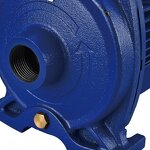 Centrifugal Pump Manufacturer - CPM130 High Flow Electric Pump