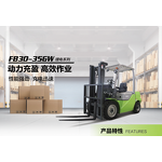 Electric Forklift Factory - FD30 3-3.5 Ton Lifting Capacity