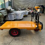 Electric Trolley Factory - 1000 kg Three-Wheel Brake Cart