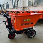 Electric Cargo Bike Manufacturer - Adult 3-Wheel Steel Tricycle