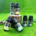 Essential Oil Gift Set Manufacturer - OEM Organic 6pc Set with Box