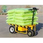 Electric Tricycle Factory - OEM 500kg Cargo Warehouse Cart