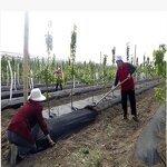 Ground Cover Mesh Factory - OEM Anti-Weed Barrier Grass Cloth