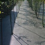 Weed Barrier Mat Factory - Wholesale PP Plastic Fabric