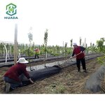 Ground Cover Mat Supplier - OEM PP Weed Control for Garden