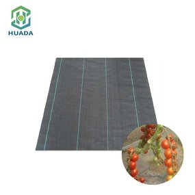 Ground Cover Mesh Factory - OEM Anti-Weed Barrier Grass Cloth