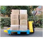 Manual Pallet Truck Factory - OEM Hydraulic Portable 2000kg