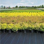 Weed Barrier Mat Factory - Wholesale PP Plastic Fabric