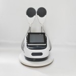 Cold Laser Therapy Factory - OEM 10D Maxlipo Cold Laser Therapy 10D Verju Green Diode