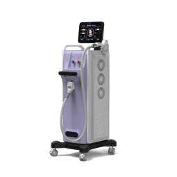 Beauty Machine Supplier - Bulk Factory Price 808nm 1064nm 755nm Diode Laser Beauty Salons