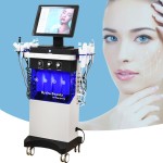 Skin Analysis Machine Factory - OEM NewFace 9 in 1 10 in 1 Skin Analysis Face Management
