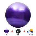 Gym Ball Supplier - OEM Anti Burst 65cm Swiss Exercise Ball
