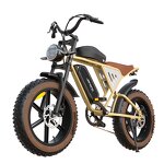 City Electric Bike Manufacturer - OEM 48V 34AH Removable Battery 1000W