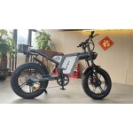 Electric Dirt Bike Factory - OEM 48V 1500W CE UL Certified