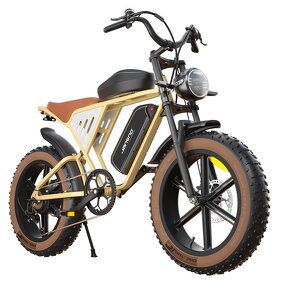 Dual Suspension Ebike Manufacturer - OEM 34AH Removable Dual Battery