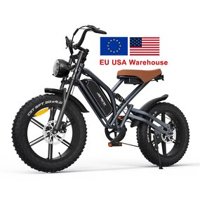 Electric Dirt Bike Factory - OEM 750W 1000W 48V 20 Inch