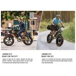 Ebike Factory - OEM Removable Dual Battery Long Range 750w