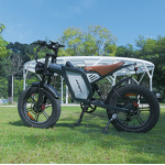 Dual Motor Electric Bike Manufacturer - OEM 48V23AH Fat Tire