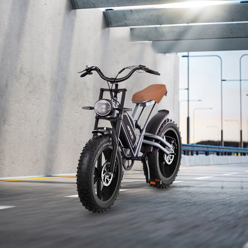 Sport Mountain E Bike Manufacturer - OEM 48V 750w 1000W Fat Tire