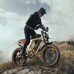 Electric Bicycle Factory - OEM 48V Dual Suspension Removable Battery