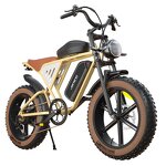 Dual Battery Electric Bike Factory - OEM 1000w 48V Dual Suspension