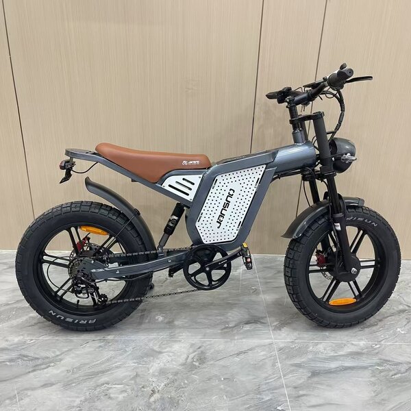 Electric Bike Manufacturer - OEM 1500W 48V Fat Tire Mountain