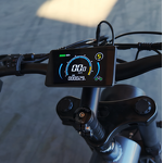 Dual Motor Electric Bike Manufacturer - OEM 48V23AH Fat Tire